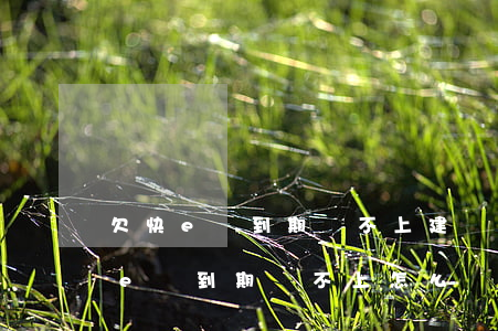 欠快e貸到期還不上(建設(shè)銀行快e貸到期還不上怎么辦)