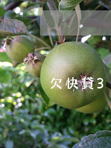 欠快貸3千逾期2年上門了