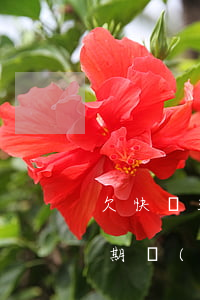 欠快貸3千逾期可以減免嗎(快貸欠款三年逾期會(huì)怎么樣)