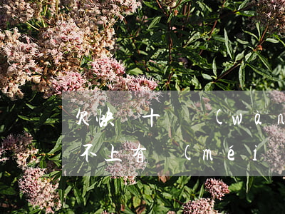 欠快貸十幾萬(wàn)暫時(shí)還不上(有沒(méi)有欠快貸不還的)