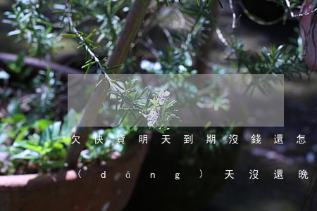 欠快貸明天到期沒錢還怎么辦(快貸還款日當(dāng)天沒還,晚上還不了了)