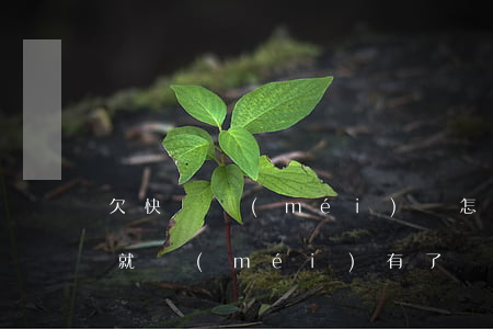 欠快貸沒(méi)還怎么辦(快貸還了怎么就沒(méi)有了)