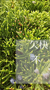 欠快貸還不上會(huì)坐牢嗎(快貸欠錢不還會(huì)怎么樣)
