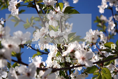 欠恒昌網(wǎng)貸被起訴(恒昌貸款起訴是真的嗎)