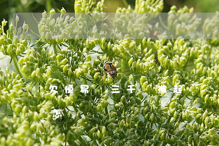 欠恒易貸三千會被起訴嗎(恒易貸被起訴了會怎樣)