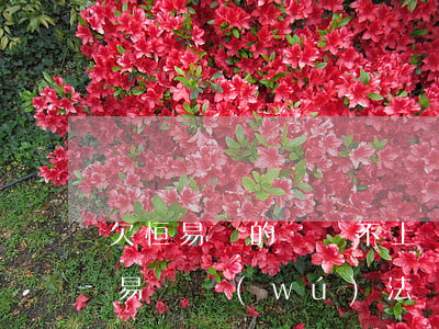 欠恒易貸的錢還不上會(huì)填命嗎(恒易貸無(wú)法還款怎么辦)