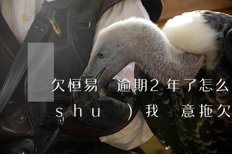 欠恒易貸逾期2年了怎么辦(恒易貸逾期說(shuō)我惡意拖欠)