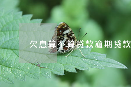 欠息算不算贷款逾期(贷款利息未还算逾期吗)