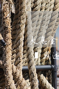 欠息金額或逾期本金大于零的貸款-欠息金額或逾期本金大于零的貸款有哪些