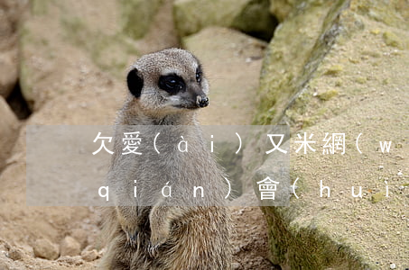 欠愛(ài)又米網(wǎng)貸的錢(qián)會(huì)影響到征信嗎-愛(ài)又米網(wǎng)貸不還會(huì)怎么樣
