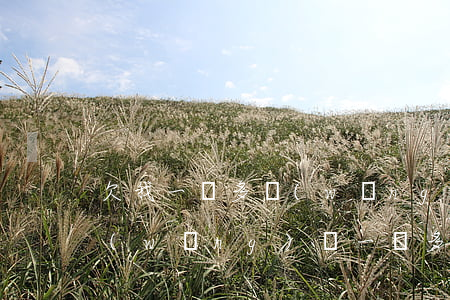 欠我一萬多網(wǎng)貸還不上了(欠網(wǎng)貸一萬多還不起了怎么辦)