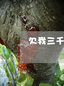 欠我三千塊值得起訴嗎(欠三千塊錢可以起訴嗎)