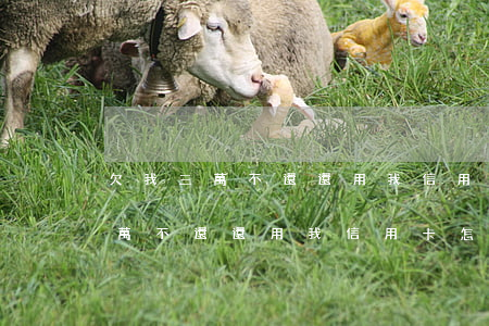 欠我三萬不還還用我信用卡怎么辦-欠我三萬不還還用我信用卡怎么辦呢