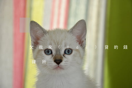 欠我來(lái)貸的錢(qián)弘正律所