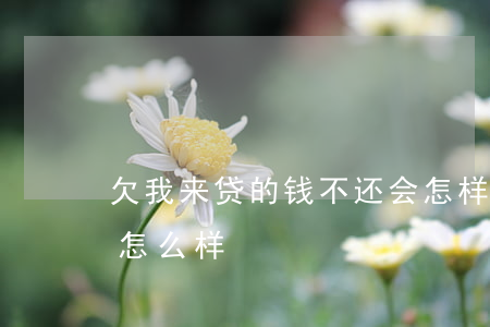 欠我来贷的钱不还会怎样(我来贷借款不还会怎么样)