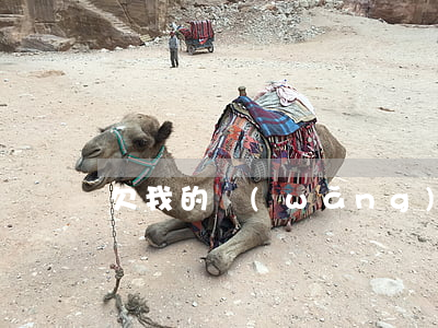 欠我的網(wǎng)貸怎么辦