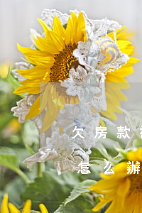 欠房款被起訴怎么辦(購房拖欠房款被起訴了怎么辦)