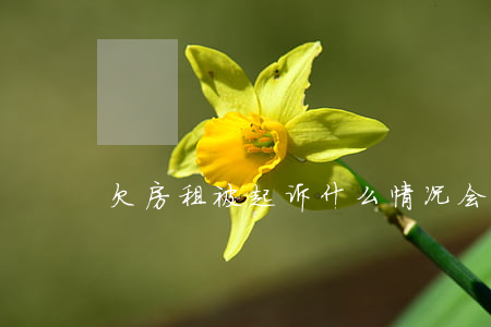 欠房租被起诉什么情况会败诉(起诉房租拖欠)