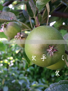 欠手機(jī)貸4000會(huì)起訴嗎(欠貸款5000會(huì)被起訴嗎)