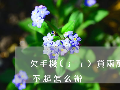 欠手機(jī)貸兩萬還不起了(貸款兩萬還不起怎么辦)