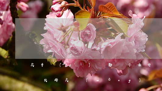 欠手機(jī)貸影響子女升學(xué)嗎(父母欠網(wǎng)貸對孩子上學(xué)有影響嗎)