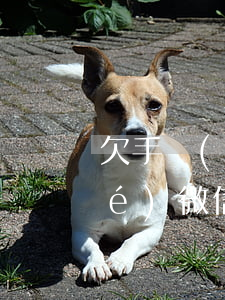 欠手機(jī)貸會(huì)凍結(jié)微信賬戶(貸款逾期會(huì)凍結(jié)微信賬戶嗎)