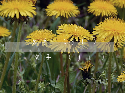 欠手機(jī)貸會凍結(jié)銀行卡(欠手機(jī)貸會凍結(jié)銀行卡)