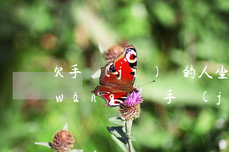 欠手機(jī)貸的人坐牢去了怎么辦(網(wǎng)貸手機(jī)不還會坐牢嗎)
