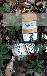 欠手機(jī)貸能辦信用卡嗎(有手機(jī)網(wǎng)貸能辦信用卡嗎)