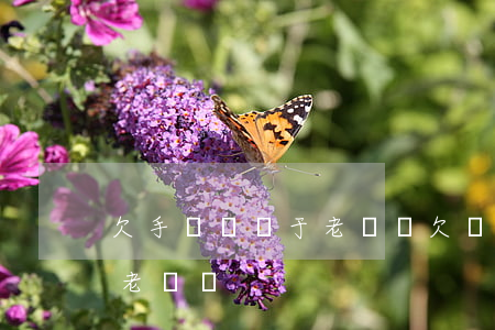 欠手機貸屬于老賴嗎(欠網(wǎng)貸算老賴嗎?)