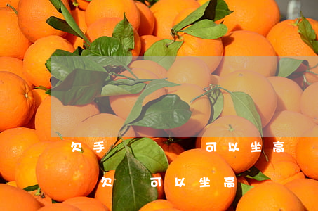 欠手機貸沒還可以坐高鐵嗎(網(wǎng)貸欠錢可以坐高鐵嗎)