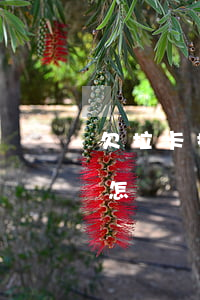 欠拉卡拉的貸款沒能力還(拉卡拉貸款沒還會怎樣)