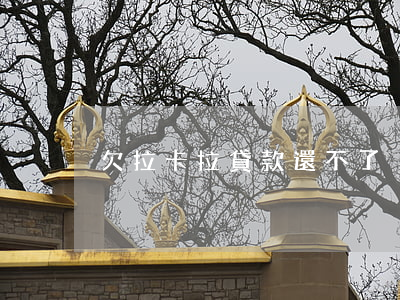 欠拉卡拉貸款還不了