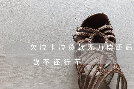 欠拉卡拉贷款无力偿还后果怎么样(拉卡拉贷款不还行不)