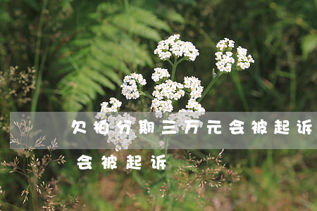 欠拍分期三万元会被起诉吗(分期逾期多少钱会被起诉)