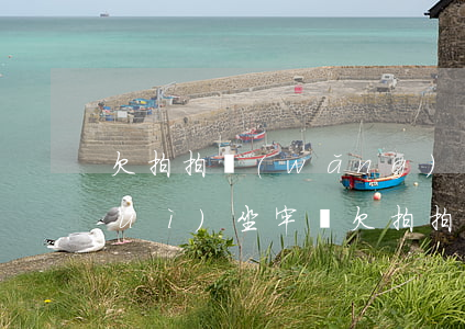 欠拍拍網(wǎng)貸5000元會(huì)坐牢嗎(欠拍拍貸幾百塊錢說(shuō)要走法律程序,是真的嗎?)