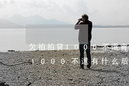 欠拍拍貸1000不還會怎么樣(拍拍貸借款1000不還有什么后果)