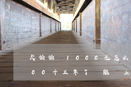 欠拍拍貸1000元怎么辦(欠款拍拍貸2000千三年了沒能還上怎么辦)