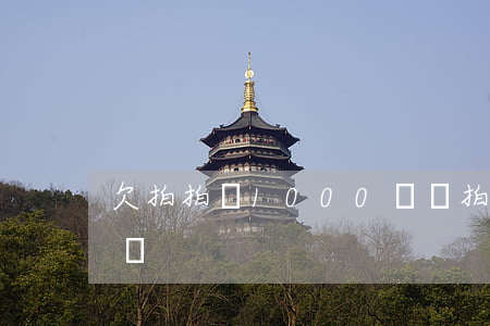 欠拍拍貸1000沒還(拍拍貸借了500沒還)