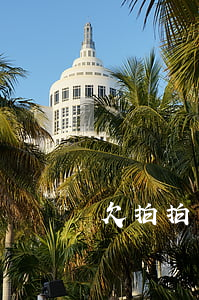 欠拍拍貸1000短信說要上門-