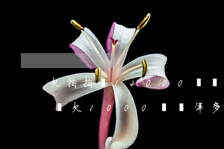 欠拍拍貸12000塊錢(qián)(拍拍貸欠1000塊兩年多了今天收到律師信息)