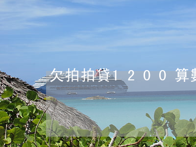 欠拍拍貸1200算數(shù)額大嗎