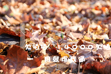 欠拍拍貸14000(欠拍拍貸1400逾期一個月就爆我通訊錄)