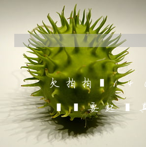 欠拍拍貸1400元會被起訴嗎(拍拍貸欠2萬說要起訴真的會起訴嗎)