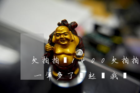 欠拍拍貸1400(欠拍拍貸20000逾期一年多了會起訴我嗎)