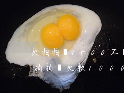 欠拍拍貸1500不還會(huì)怎樣(在拍拍貸欠款1000三年不還會(huì)怎么樣?)