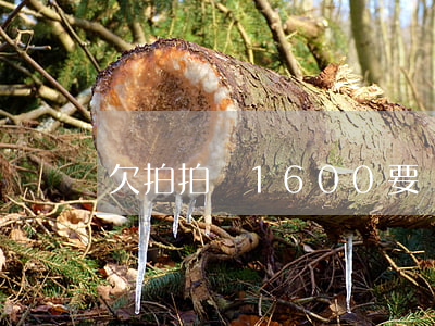 欠拍拍貸1600要還嗎