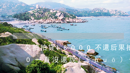 欠拍拍貸18000不還后果(拍拍貸欠700一直沒還,說(shuō)告我真的假的)