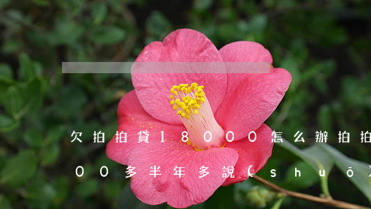 欠拍拍貸18000怎么辦(拍拍貸欠了6000多半年多說(shuō)要起訴我是真的么)