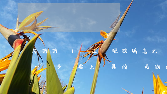 欠拍拍貸1萬上門砸玻璃怎么辦-欠拍拍貸一萬多說要上門真的還是假的
